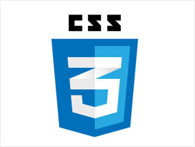 css3
